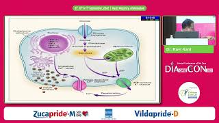 Dr Ravi Kant Update on Monogenic amp Neonatal Diabetes [upl. by Anelagna692]