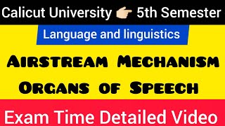 Airstream Mechanism  Language amp Linguistics calicutuniversity 5thsemester💯languageandlinguistics [upl. by Anisor]