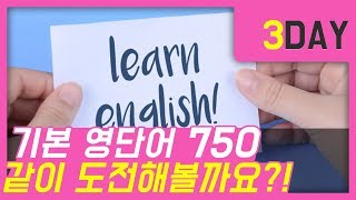 줄라이왕초보생활영어  영단어750외우기  쉬운영단어  연상법  영단어같이외워요 [upl. by Enyala]