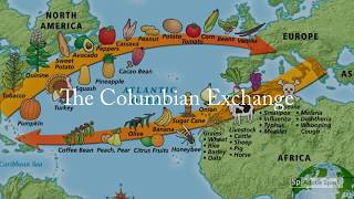 The Columbian Exchange [upl. by Eekcaj]