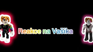 reakce na Vašika [upl. by Bonnee]