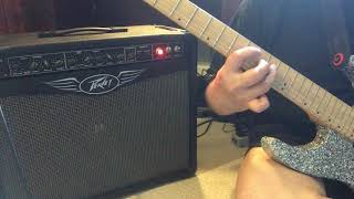 Peavey Valveking 112 Guitar Amplifier with Zakk Wylde EVM12L [upl. by Debby28]