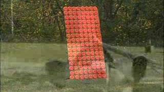 13FootLong Punt Gun Shot Gun Clay Target [upl. by Whiteley]