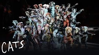 The Naming of the Cats  Cats the Musical [upl. by Eberhart132]