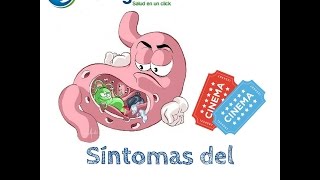 Síntomas del Helicobacter Pylori [upl. by Valsimot466]