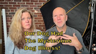 Is Your Dog Sick Know the Symptoms Treatments amp When to Get Help Mysterious Dog Illness 2023 [upl. by Esiuqcaj60]