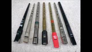 cooleys reel  slow version tin whistle [upl. by Cordie]