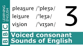 English Pronunciation 👄 Voiced Consonant  ʒ  pleasure leisure and vision [upl. by Inoj]