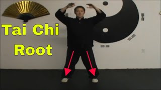 16 Tai Chi Basic Steps for Beginners Breathing Relaxation amp Rooting [upl. by Ylecic]