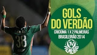 DE VIRADA Gols  Criciúma 1 x 2 Palmeiras  Brasileirão 2014 [upl. by Kenta129]