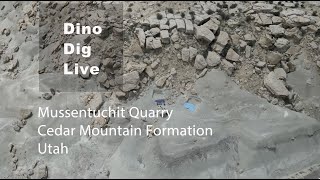 Dino Dig Live [upl. by Chard]