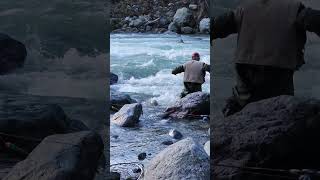 Its not easy to put a really big salmon in a net I ❤️ salmon fishing Vedder river Canada 🇨🇦 33 [upl. by Theis]