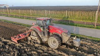 Fresatura con Case IH Magnum 380 RowTrac combinato con un erpice Kuhn HD 6040 R [upl. by Ramor]