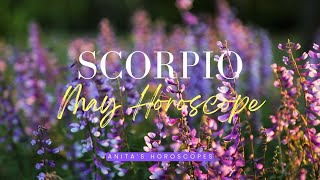 ♏ Scorpio monthly horoscope 🌼 May 2024 [upl. by Lerual883]