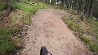 Bike park Rogla proga 8 [upl. by Ativel628]