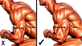 Best Workouts For Bicep and Tricep to Get Wide Insane Arms [upl. by Kristianson]