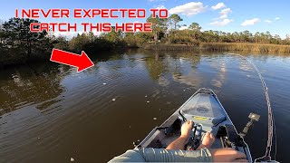 Kayak Fishing Mobile Bay at Low Tide  Fowl River [upl. by Netsrak]