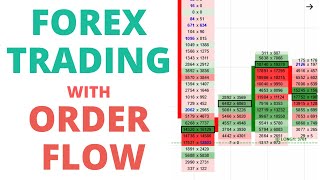 How to Trade Forex With Order Flow [upl. by Fayre886]