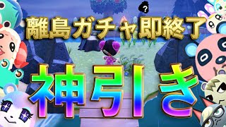 【あつ森】雨の中、離島ガチャしてたら神引きした！！！即終了ですごめんなさい！！！ [upl. by Shih]