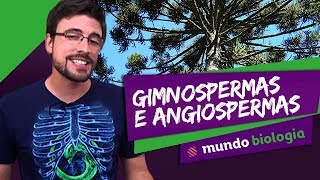 🌿 Botânica 25 Gimnospermas e Angiospermas  Biologia  ENEM [upl. by Knox]