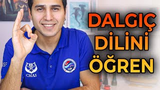 3  Bir Yıldız Dalış Eğitimi  Dalış İşaretleri  Sıfırdan Dalış Eğitim Dersleri [upl. by Sivatco733]