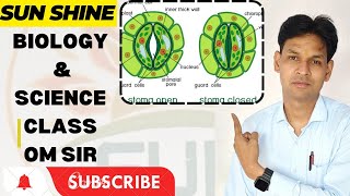 STOMATA Science Class 10 scienceworld sciencelab cbseboard sunshine class9science [upl. by Sitnalta457]