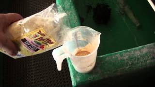 How to Feed Your Daphnia Culture  Gwynnbrook Farm [upl. by Ayatnwahs]