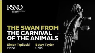 SaintSaëns The Swan from The Carnival of the Animals – Simon Trpčeski amp Betsy Taylor [upl. by Euqimod]