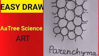 how to draw parenchyma aatreescienceart shorts parenchyma [upl. by Aerdnak]