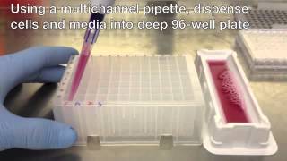 Bio Assay Instructions [upl. by Aehc847]