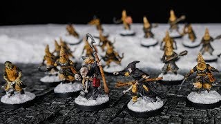 Painting a Warband  21 Miniatures for Frostgrave in 2 Days [upl. by Ecerahs]