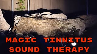 BEST Tinnitus Relief Sound Therapy Treatment  Magic Water Feature Masking [upl. by Puett597]