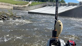 Fishing Under Dam Big Smallmouth [upl. by Idok110]