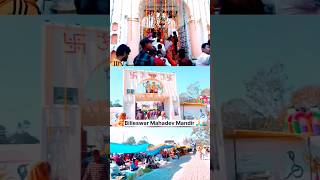 Billeswar Mahadev Mandir purwaunnao🙏anupamkushwahaunnao ytshortstrendingshorts [upl. by Latton]