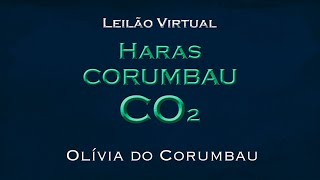 Olívia do Corumbau [upl. by Lamoureux842]