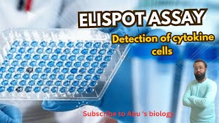 Elispot assay cytokine cell detection  Principle diagramatic representationcsirnet [upl. by Sillyrama221]