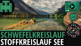 Schwefelkreislauf Stoffkreislauf im See│Biologie LernvideoLearning Level Up KI [upl. by Bendite417]