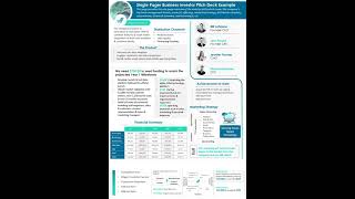 Single Pager Business Investor Pitch Deck Example Presentation Report Infographic Ppt Pdf Document [upl. by Naehgem981]