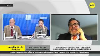 Decano del Colegio de Abogados de Lima Raúl Canelo en entrevista por RPP 04  10  2024 [upl. by Attemaj]