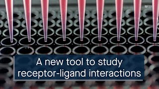 Biosensor cells can help study cell surface protein functions [upl. by Lekram]