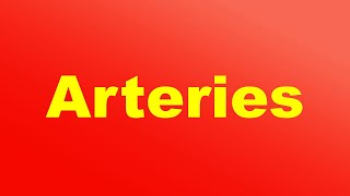 Arteries Definition and Function [upl. by Eirrej279]