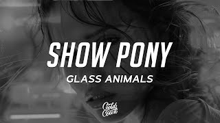 Glass Animals  Show Pony Lyrics [upl. by Opportuna491]