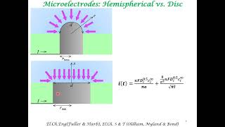 Microelectrodes [upl. by Rolf928]