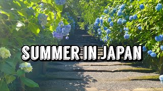 Nagano and Kamakura Japan in summer 2021 [upl. by Ahtikal]