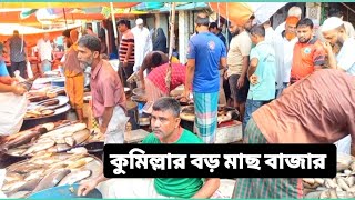 কুমিল্লার বড় মাছ বাজার  Biggest fish market  Comilla  fish market of Bangladesh [upl. by Nollie]