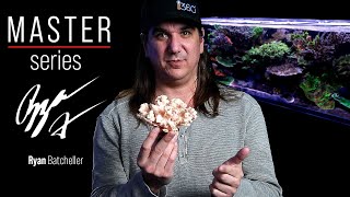 The REAL Truth Behind Nutrients in Our Reef Tanks  BRStv Master Series Nitrate amp Phosphate [upl. by Hoi]