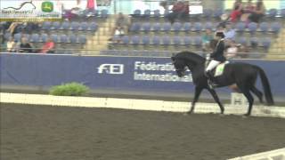 Daniella Dierks amp World Royal NSW  Advanced Freestyle  2013 AUS Dressage Championships [upl. by Dryfoos]