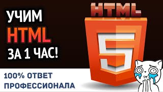 Учим HTML за 1 час От Профессионала  HD Remake [upl. by Acinorehs]