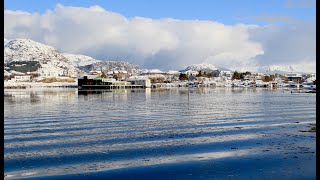 Skreifishing Lofoten  Norway [upl. by Weihs]