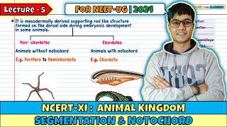 Lec 5 Segmentation amp Notochord Animal Kingdom Class 11 NEET 2024 [upl. by Imhsar550]